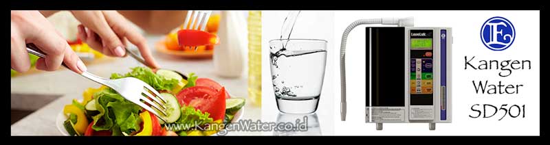 makanan sehat dan kangen water