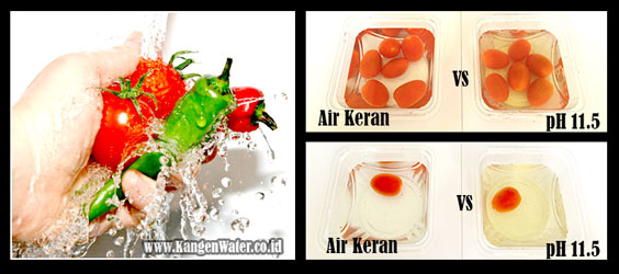 mafaat strong kangen water ph 11.5