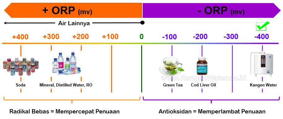 antioksidan kangen water