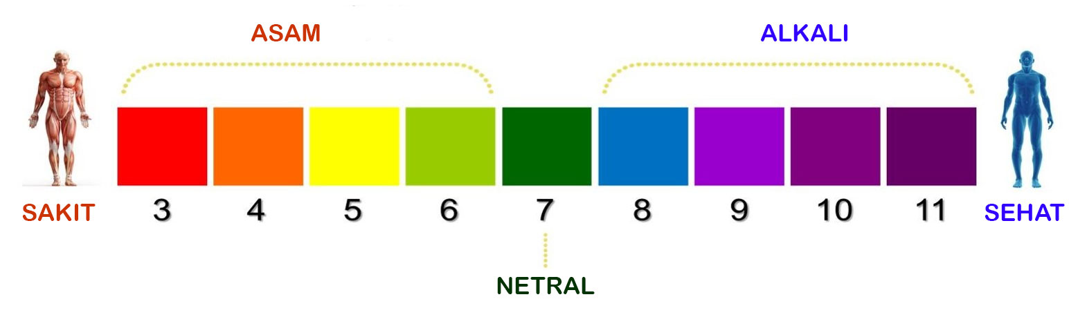 alkali kangen water ph chart