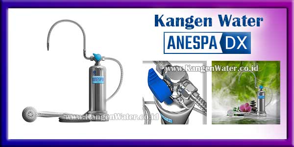 harga mesin kangen water anespa dx