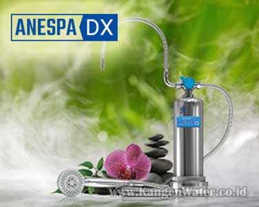 harga mesin kangen water anespa dx