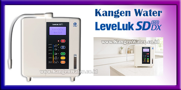 harga mesin kangen water leveluk sd501dx